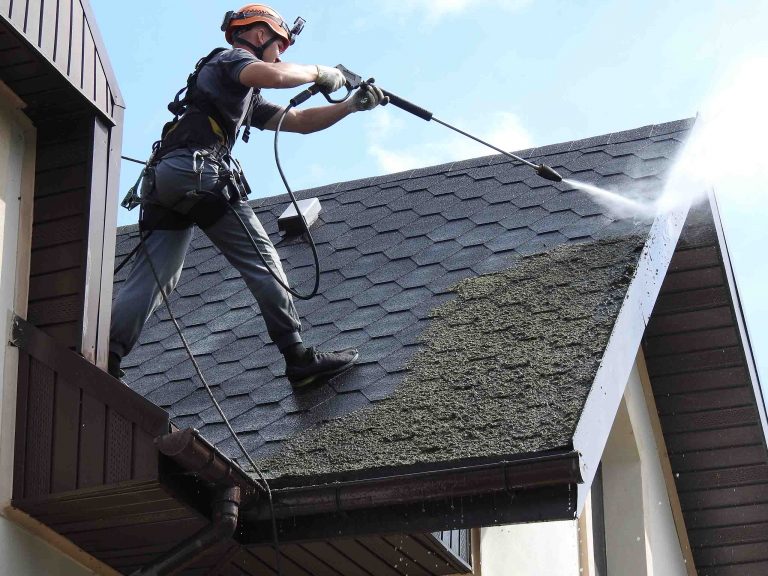Очистка крыш от мха | Уборка и мойка кровли, шифера в Киеве